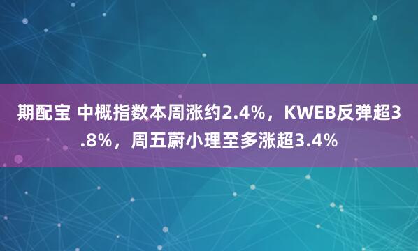 期配宝 中概指数本周涨约2.4%，KWEB反弹超3.8%，周五蔚小理至多涨超3.4%