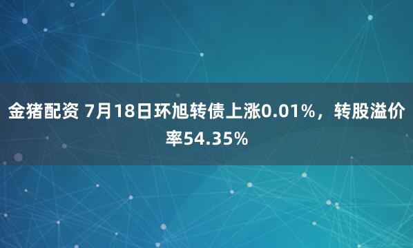 金猪配资 7月18日环旭转债上涨0.01%，转股溢价率54.35%