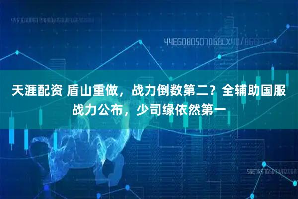 天涯配资 盾山重做，战力倒数第二？全辅助国服战力公布，少司缘依然第一